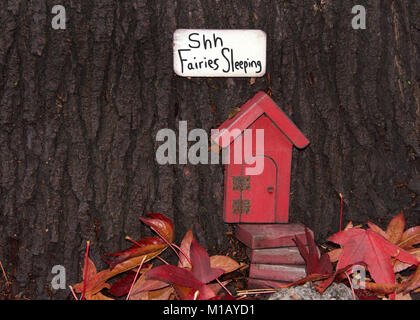Close up of tree trunk with fairy door, autumn leaves. An urban art movement of tiny fairy doors hitting the curbs, trees, and public spaces on the Is Stock Photo