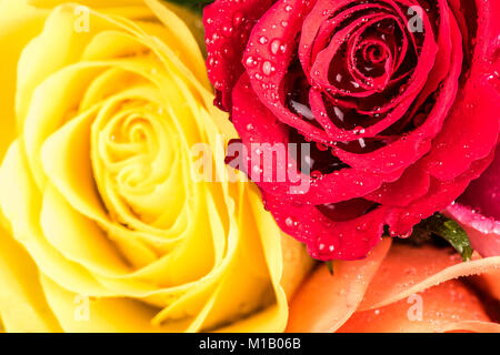 Colorful flower bouquet from roses for use as background. Stock Photo