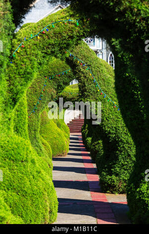 Beautiful evergreen landmark park in Costa Rica, Central America Stock Photo