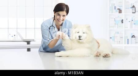 dog veterinary examination smiling Veterinarian check the dog's paw on table in vet clinic Stock Photo