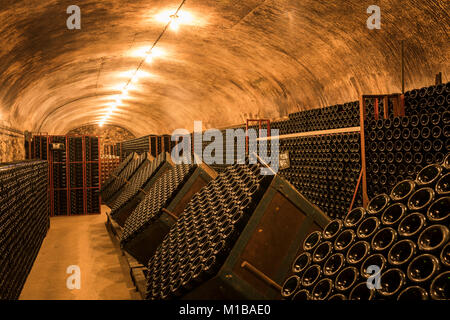 Hautvillers, France - August 11, 2017: Champagne caves and cellars with champagne bottles in Hautvillers near Reims and Epernay. Stock Photo