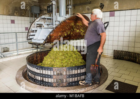 Hautvillers, France - August 11, 2017. Closing the press with chardonnay grapes and working man in the Pressoir in Champagne village Hautvillers near  Stock Photo