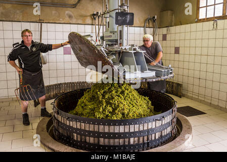 Hautvillers, France - August 11, 2017. Pressing the grapes with an old press with two working men in the Pressoir in Champagne village Hautvillers nea Stock Photo