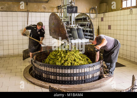 Hautvillers, France - August 11, 2017. Pressing the grapes with an old press with two working men in the Pressoir in Champagne village Hautvillers nea Stock Photo