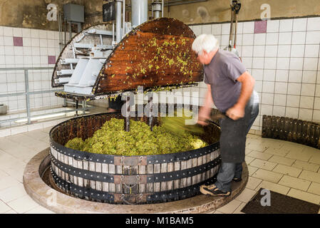 Hautvillers, France - August 11, 2017. Pressing the grapes with an old press with working man in the Pressoir in Champagne village Hautvillers near Re Stock Photo