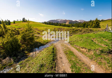 country road across the brook among grassy fields. beautiful springtime landscape of Ukrainian alps. mountain ridge with snowy tops in the distance Stock Photo