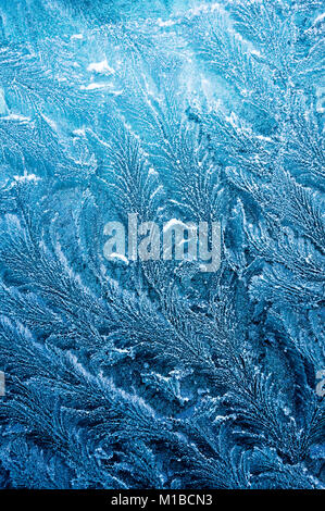 Iceflowers, frozen.The ice-cold frost forms ice crystals in beautiful unique patterns Stock Photo