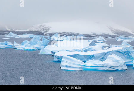 Cold still waters of antarctic sea lagoon with drifting huge blue icebergs, Port Charcot, Booth island, Antarctic peninsula Stock Photo