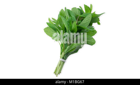 Overhead view of mint leaves in white background Stock Photo