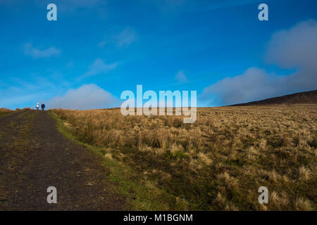 View of Divis and the Black Mountain, National Trust, Belfast, Northern Ireland Stock Photo