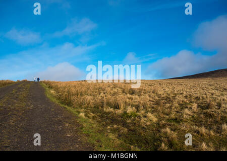 View of Divis and the Black Mountain, National Trust, Belfast, Northern Ireland Stock Photo