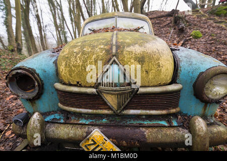 Classic decaying vintage car wreck in a forest in autumn Stock Photo