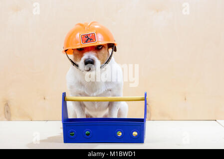 dog in construction hat