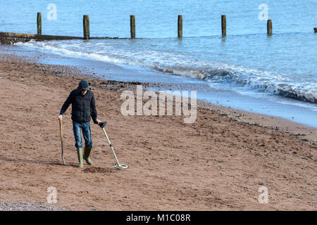 Metal detectorist searching on Teignmouth  beach. Stock Photo