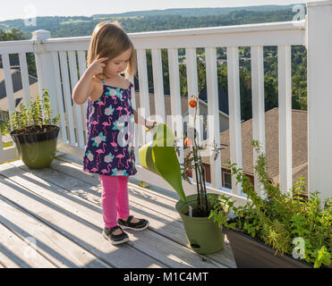 Small toddler girl on wooden deck watering tomatoes Stock Photo