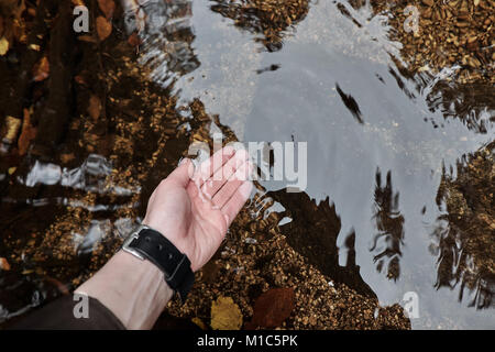 Beautiful female hand on a wild mountain lake in the autumn with yellow and red leaves and rocks under the water Stock Photo