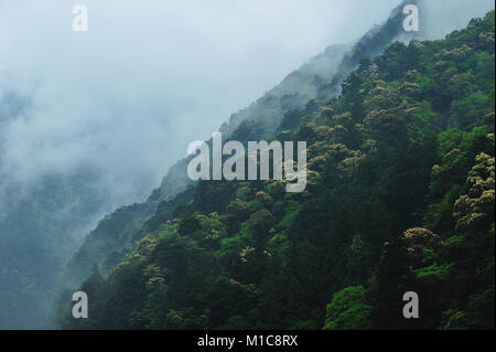 Toro Gorge, Japan Stock Photo