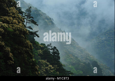 Toro Gorge, Japan Stock Photo