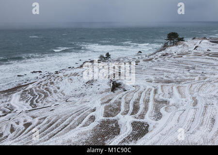 Rice paddies covered in snow, Ishikawa Prefecture, Japan Stock Photo