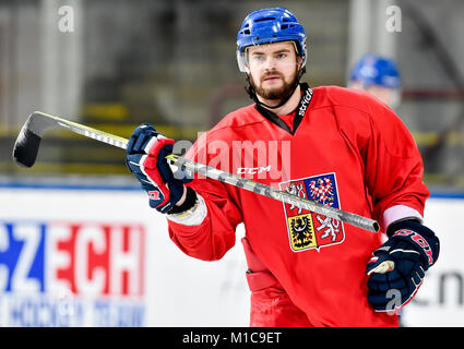 Prague, Czech Republic. 29th Jan, 2018. Roman Horak, ice hockey player of the Czech national team, attends a training session in Prague, Czech Republic, on Monday, January 29, 2018, prior to the 2018 Winter Olympics in Pyeongchang, South Korea. Credit: Michal Kucera/CTK Photo/Alamy Live News Stock Photo