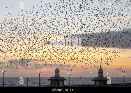 Blackpool, Lancashire. UK Weather. 29th January 2018.  Glorious sunset over the North Pier as Starlings gather at Blackpool as dusk approaches.  Tens of thousands of these migratory birds congregate on the foreshore before flying to their roosts in the relative shelter of the pier structure. Credit: MediaWorldImages/AlamyLiveNews. Stock Photo
