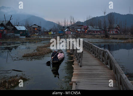 Srinagar, Indian-controlled Kashmir. 30th Jan, 2018. A Kashmiri man rows his boat laden with vegetables on a cold morning at Dal Lake in Srinagar, the summer capital of Indian-controlled Kashmir, Jan. 30, 2018. Credit: Javed Dar/Xinhua/Alamy Live News Stock Photo