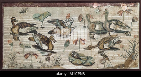 Naples. Italy. Roman mosaic of Nilotic landscape, including ducks, frogs, and waterlilies, from Pompeii (2nd century B.C.). Museo Archeologico Naziona Stock Photo