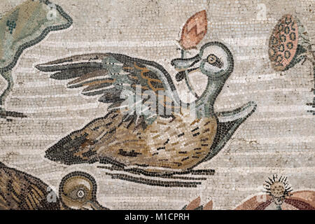 Naples. Italy. Roman mosaic of Nilotic landscape, including ducks, frogs, and waterlilies, from Pompeii. Museo Archeologico Nazionale. National Archae Stock Photo