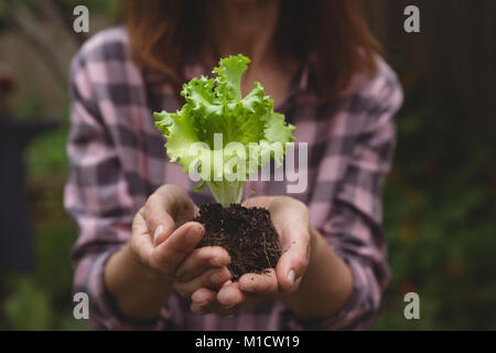 Close up of woman hand holding glass light bulb Stock Photo - Alamy