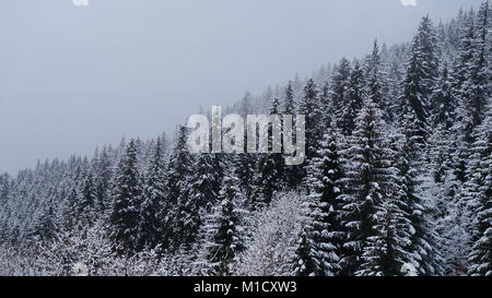 Winter nature photography in High and Low Tatras in Slovakia. Hiking hut - cottage of M. R. Štefánik in the clouds. Fog over the forrest in the winter. Stock Photo
