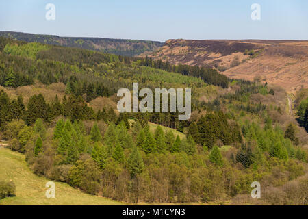 View from Skelton Tower over the North York Moors National Park near Levisham, North Yorkshire, England, UK Stock Photo