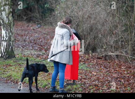 Woman using dog waste bin. Stock Photo