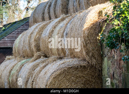 Close up of tiered stack of round hay bales next to old farm buildings, Gosford Estate, East Lothian, Scotland, UK Stock Photo