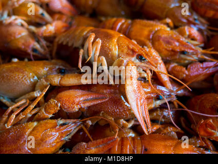 Boiled crawfish in a large number of lay slide Stock Photo