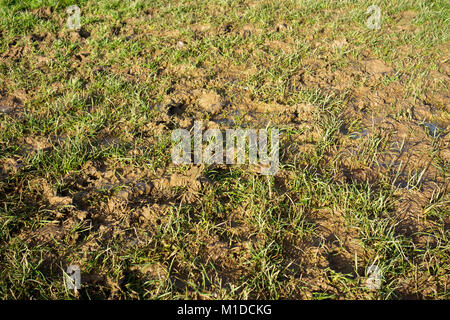 waterlogged flooded muddy sports pitch field garden lawn Stock Photo