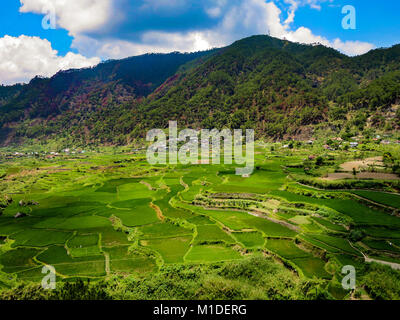 Rice terraces of Sagada in Northern Luzon, surrounded by the Cordillera Mountains, appear emerald green in the clear mountain air of Sagada, Luzon, Ph Stock Photo