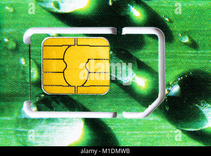 SIM card mobile phone operator close-up. Stock Photo