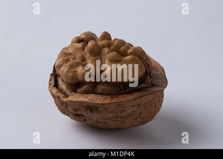 Walnuts in shell isolated on a white background Stock Photo