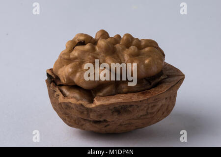 Walnuts in shell isolated on a white background Stock Photo