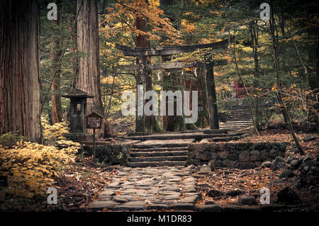 Stone path to a Shintoist sanctuary Stock Photo