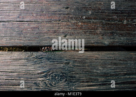Wooden background. Wooden bridge and fir-cone. Macro. Stock Photo