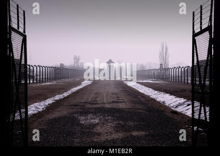 Open gates inside Auschwitz II - Birkenau Museum - Oswiecim - Poland Stock Photo