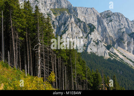 Piatra Craiului limestone mountains. Southern Carpathians, Transylvania, Romania Stock Photo