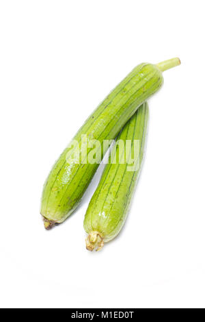 Sponge gourd isolated on white. Stock Photo