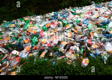 Pile of flattened Coca Cola and other plastic fizzy drink bottles dumped in vegetation Stock Photo