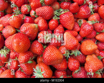 bunch of red strawberries Stock Photo