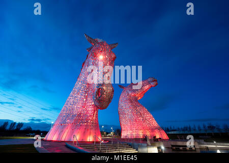 Night view of The Kelpies , large sculptures of horses, at Helix Park in Falkirk, Scotland, united Kingdom Stock Photo