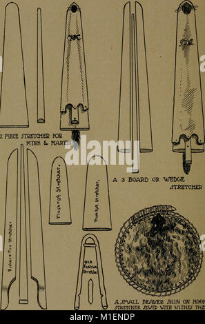 Andersch bros. hunters and trappers guide illustrating the fur bearing animals of North America the skins of which have a market value (1906) (18009305319) Stock Photo