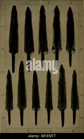 Andersch bros. hunters and trappers guide illustrating the fur bearing animals of North America the skins of which have a market value (1906) (17572823424) Stock Photo