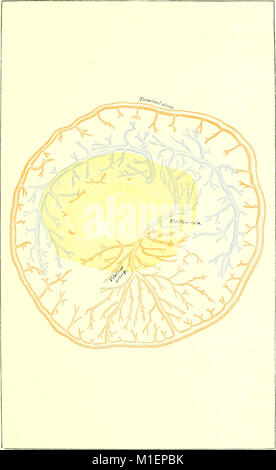 This 1907 textbook on embryology provides a detailed study of the ...